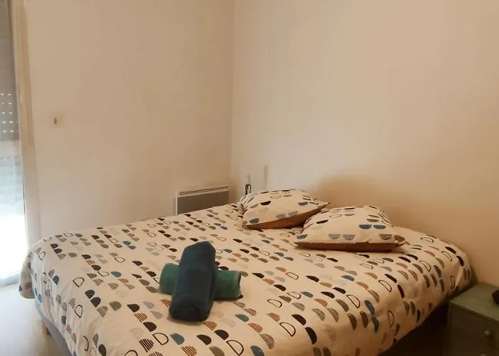 Coeur De Parking Gratuit Wifi Апартаменты Анже